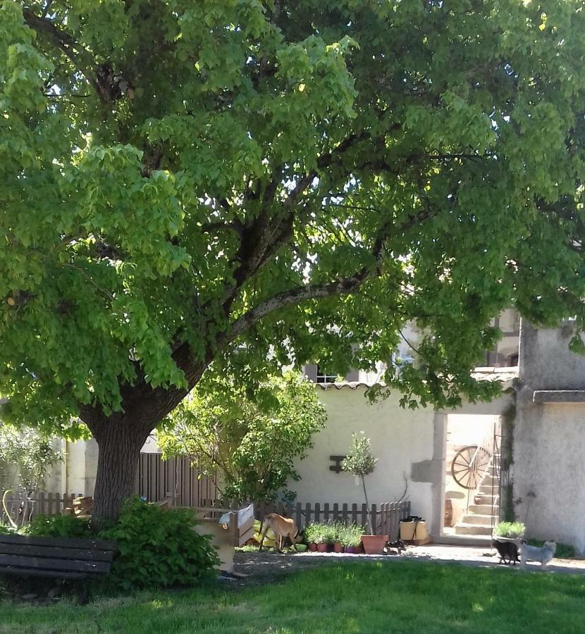 Villa Le Patio Aux Hirondelles à Lagorce  Extérieur photo