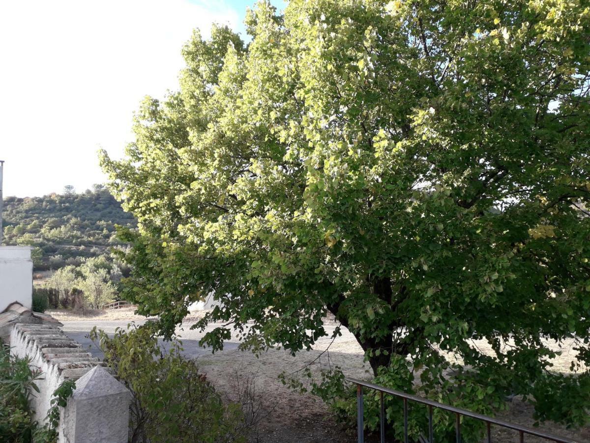 Villa Le Patio Aux Hirondelles à Lagorce  Extérieur photo