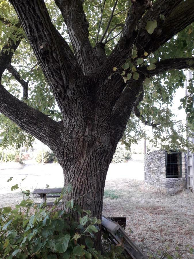 Villa Le Patio Aux Hirondelles à Lagorce  Extérieur photo
